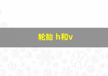 轮胎 h和v